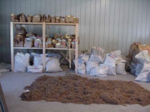Storage of seed used for plantings